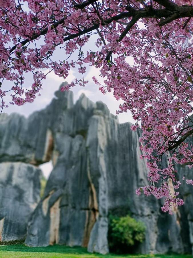 Stone Forest Mijia Guest House Lunan Exterior foto